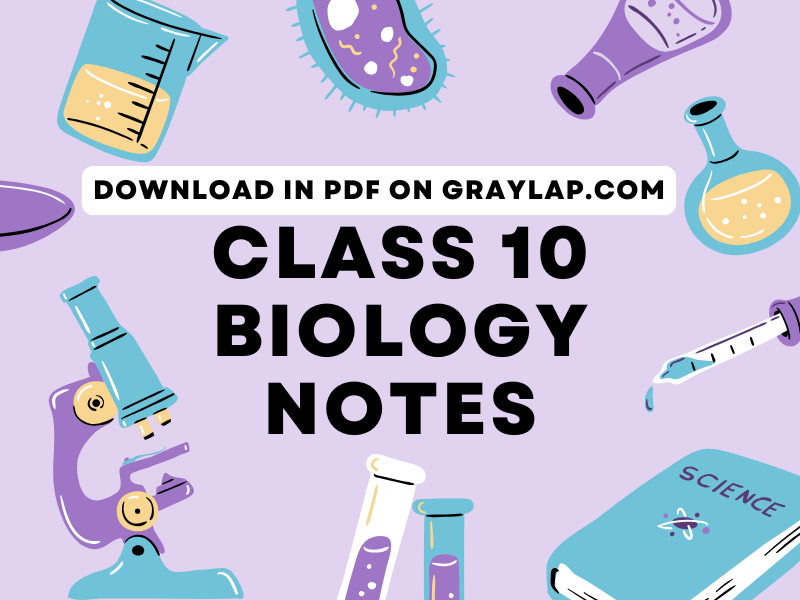 Class 10 Biology Notes