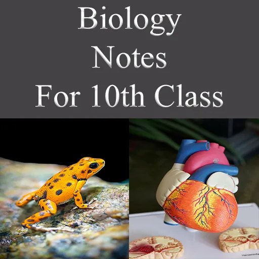 Complete Class 10 Biology Notes PDF for All Punjab Boards