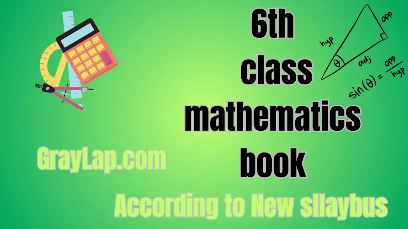 class 6 math book