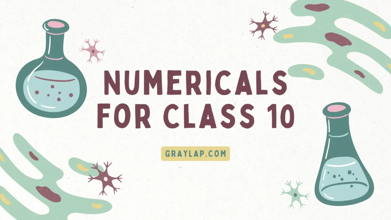 Numericals for Class 10
