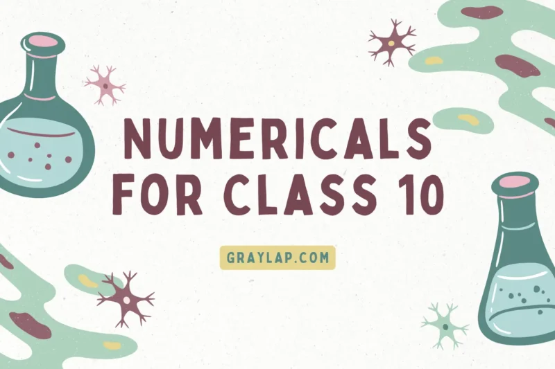 Complete Physics Numericals for Class 10 with Easy Solutions (PDF Download)
