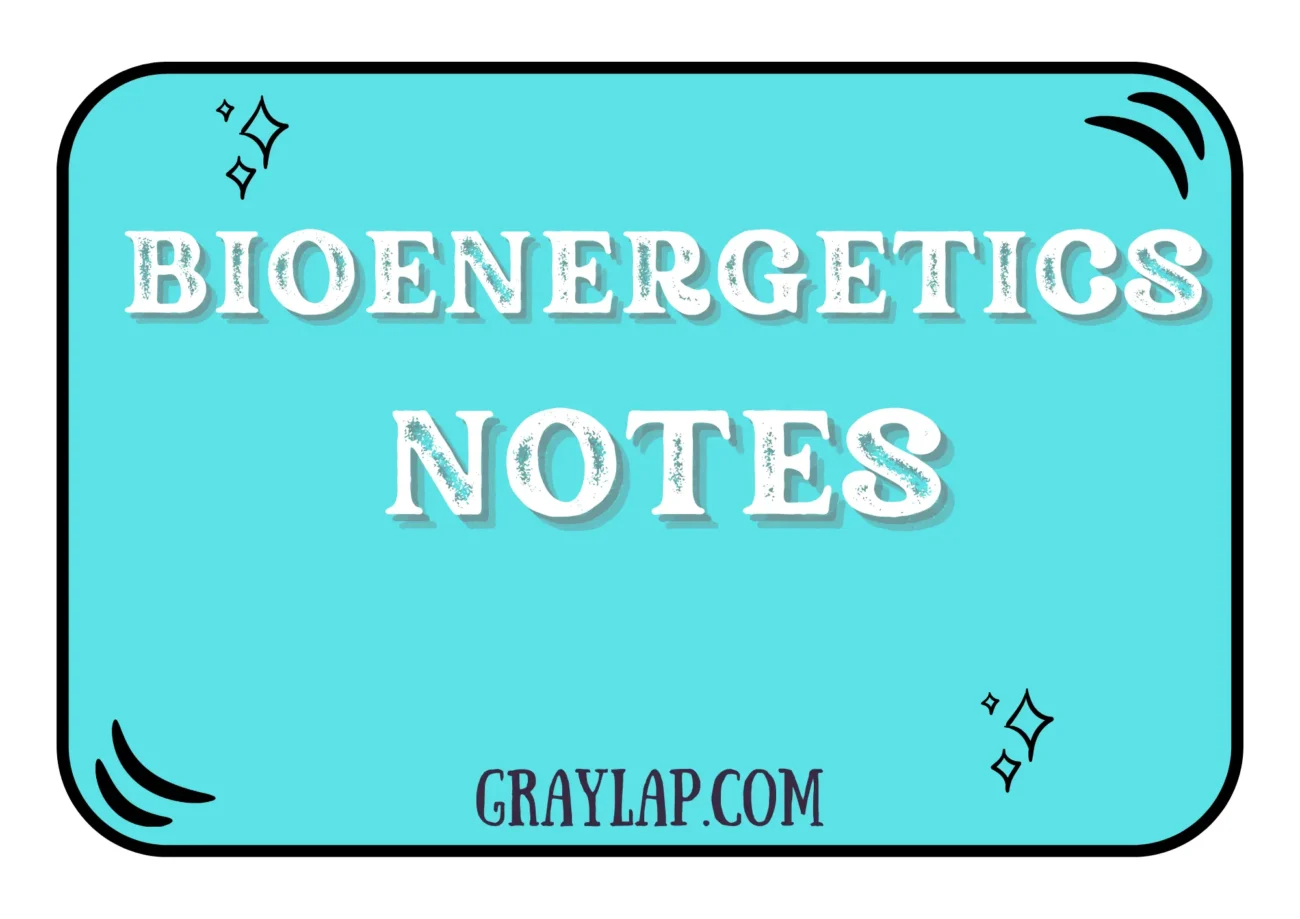 Bioenergetics Notes A Complete Guide for Students