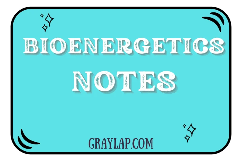 Bioenergetics Notes: A Complete Guide for Students