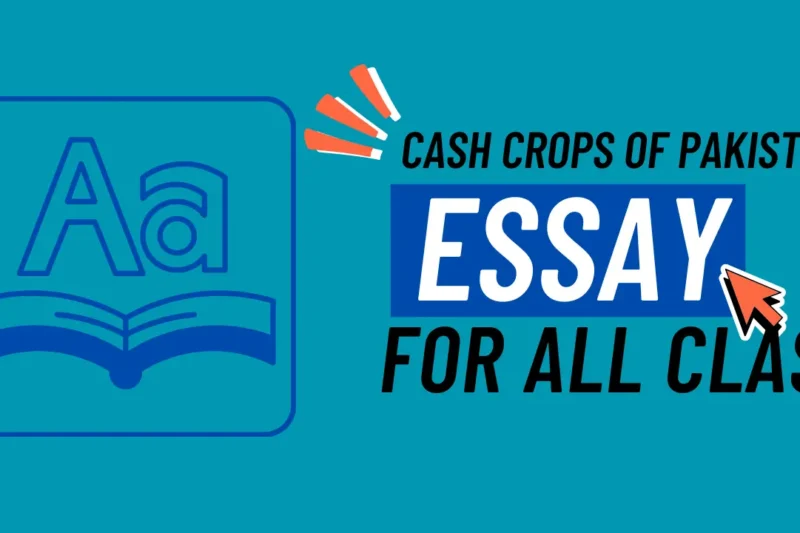 Cash Crops of Pakistan – Backbone of National Economy and Agriculture