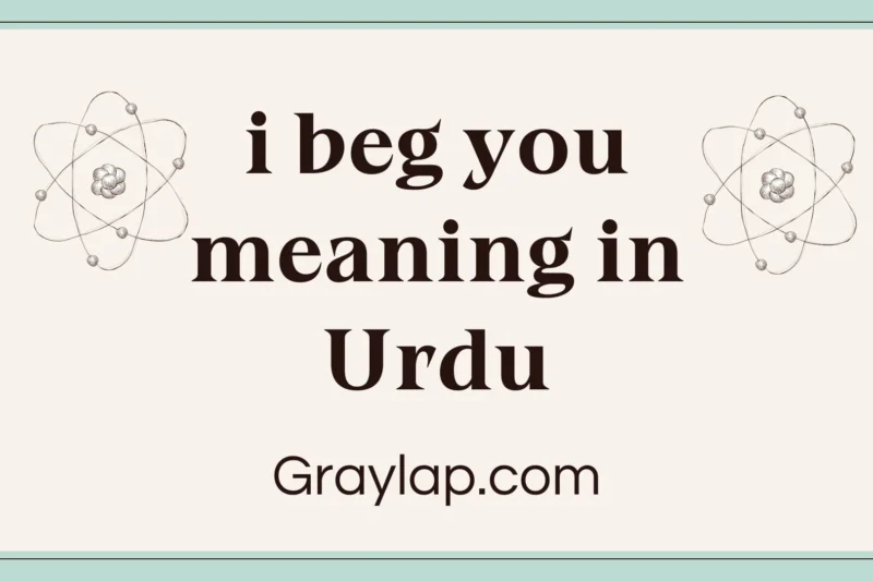 I Beg you Meaning in Urdu– Complete Meaning and Explanation