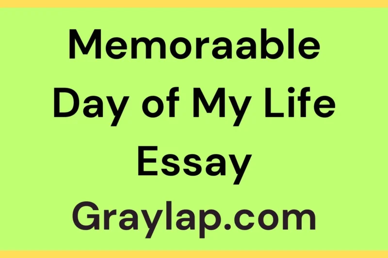 Memorial Day of My Life (Memoraable Day of My Life Essay)