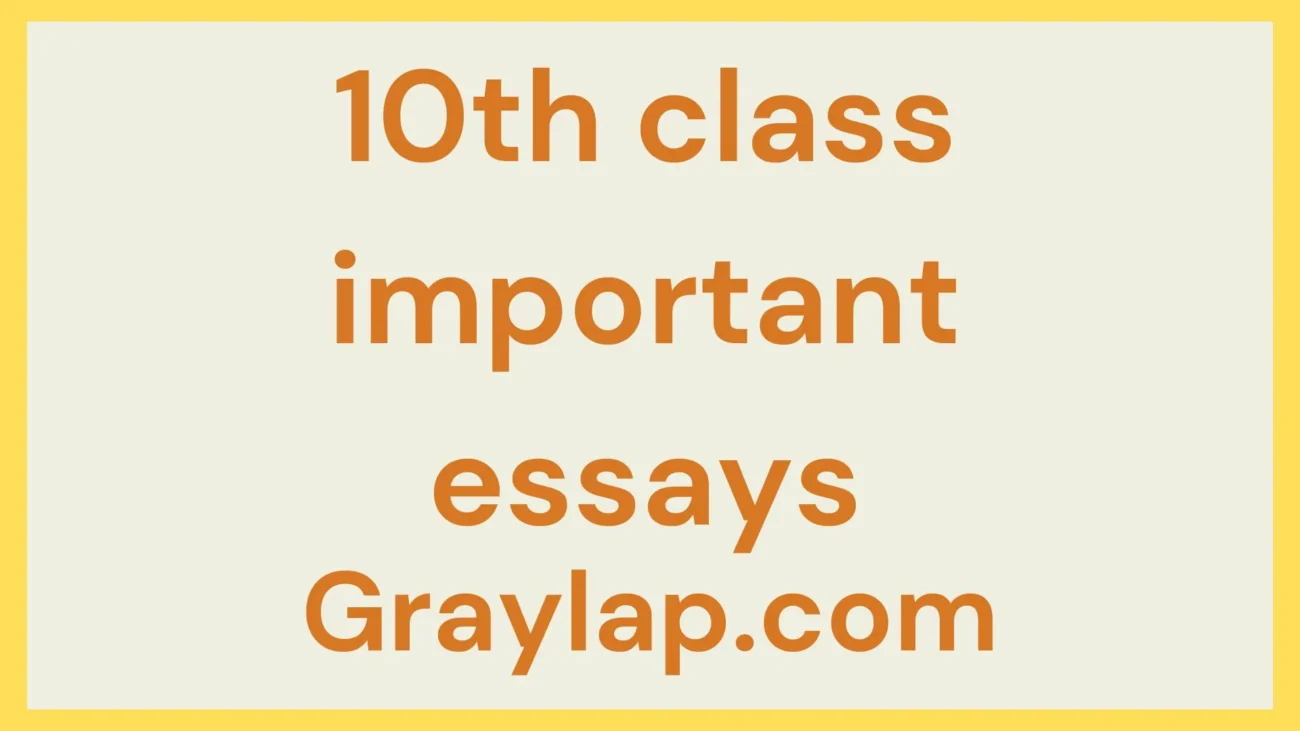 10th class important essays
