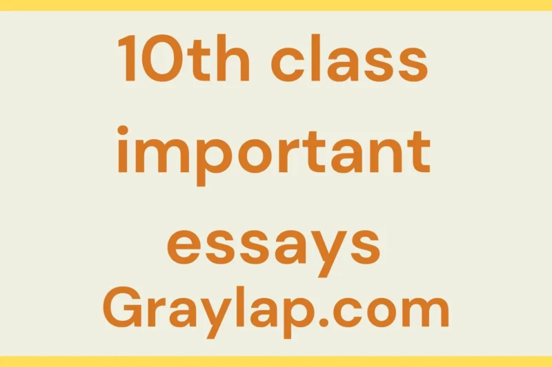 Importance of 10th Class Important Essays for Tenth Class Students