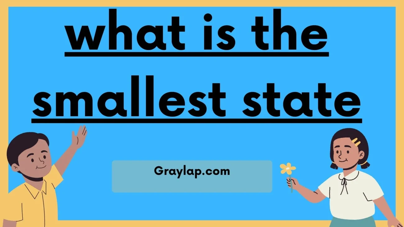 what is the smallest state