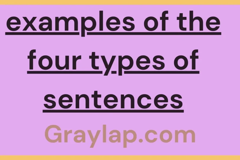 Examples of the four types of sentences – Full Guidance