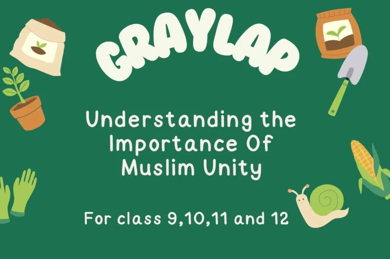Importance Of Muslim Unity – Strength, Progress & Brotherhood