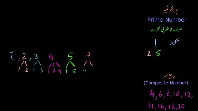 What is prime number in mathematics