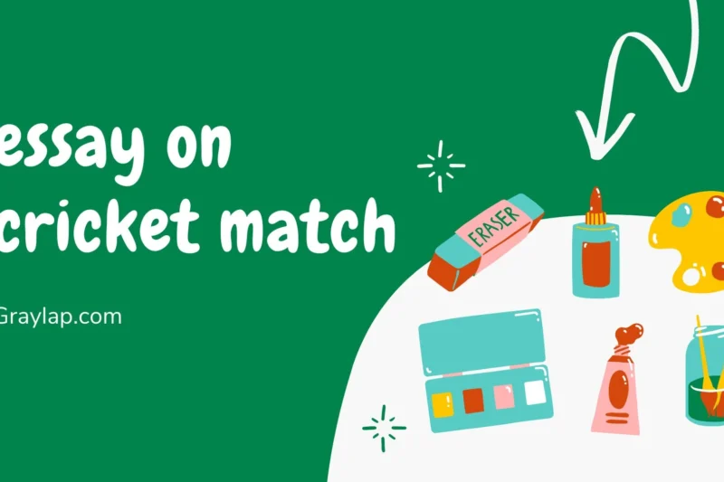 Essay on Cricket Match – Importance, My Experience and Lessons Learned