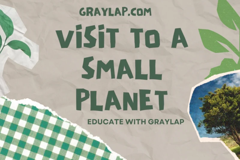 Visit to a small planet Summary, Themes & Lessons | Class 11 English
