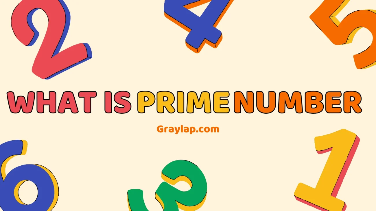 What is prime number in mathematics