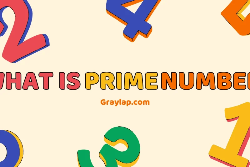 What is prime number in mathematics