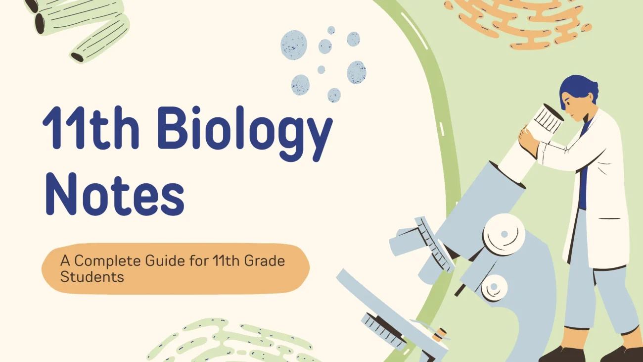 A Complete Guide for 11th Grade Students