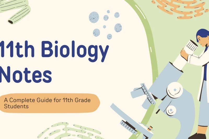 11th Biology Notes – A Complete Guide for 11th Grade Students